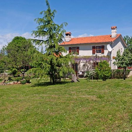 Marija-Lorena in Gora Glušići  Labin  Exterior foto