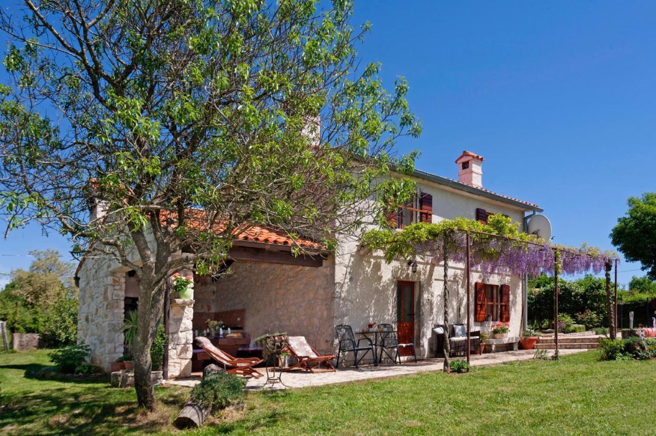 Marija-Lorena in Gora Glušići  Labin  Exterior foto
