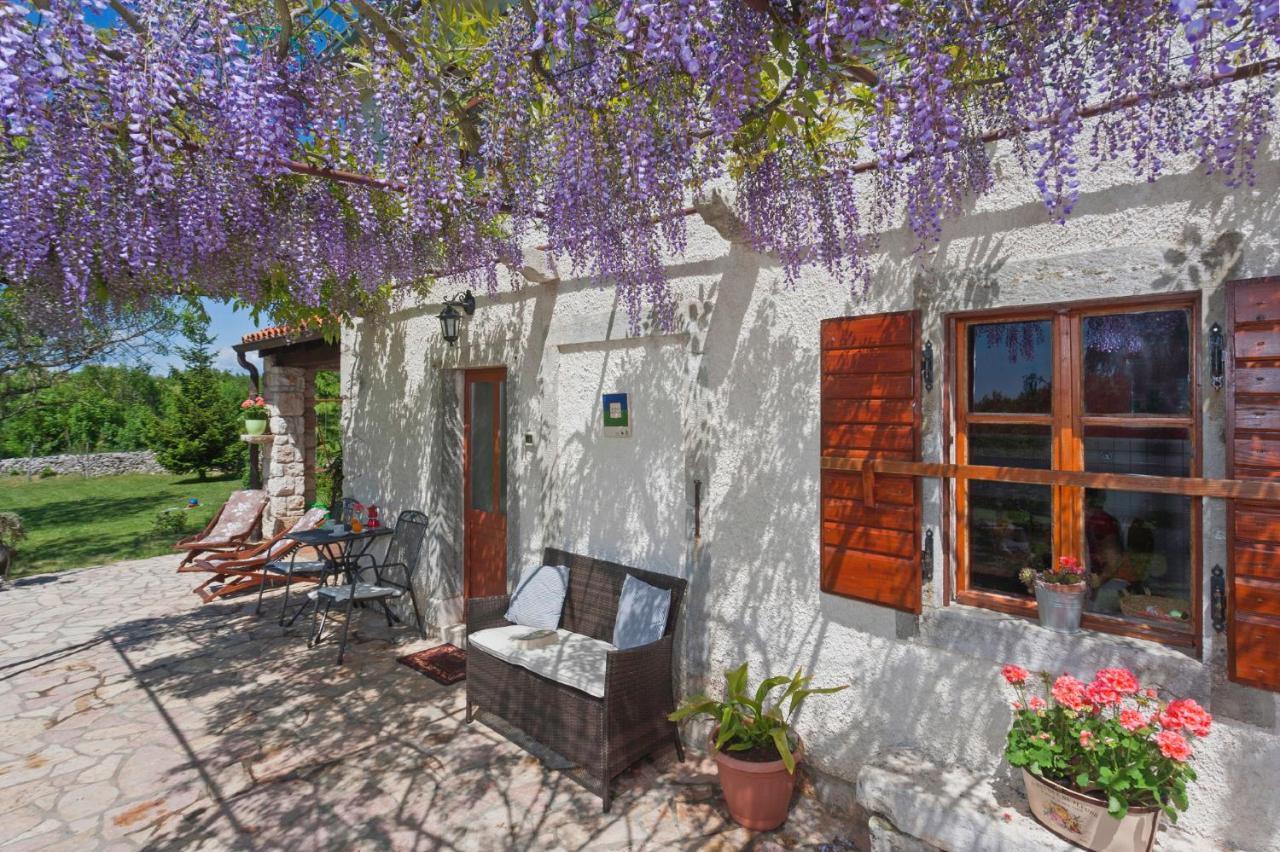 Marija-Lorena in Gora Glušići  Labin  Exterior foto